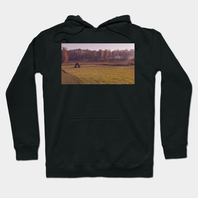 Autumn field with haystack and the wood Hoodie by lena-maximova